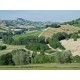 OLD COUNTRY HOUSE IN PANORAMIC POSITION IN LE MARCHE Farmhouse to restore with beautiful views of the surrounding hills for sale in Italy in Le Marche_23